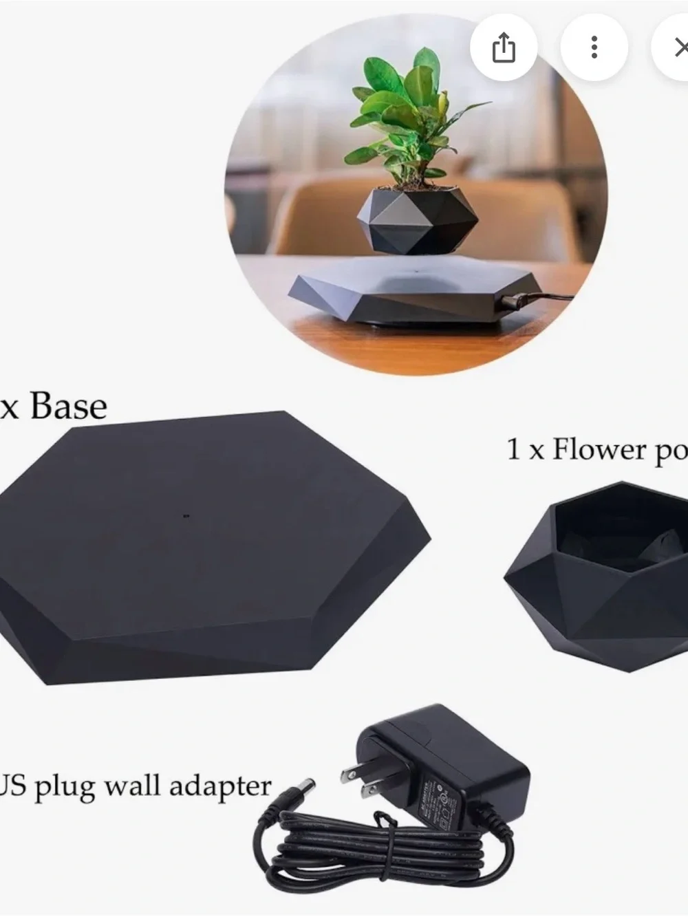 Levitating Bonsai Magnetic Planter - Pink Flower